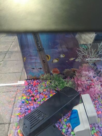 fish tank