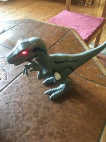 Dinosaur