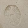 Stoneware Image 3