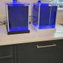 Fluval spec (Black) Image 5