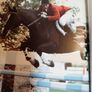 old horse and pony magazine 1984 Image 10