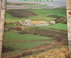 An Irish Moment by Terrence J. Sheehy