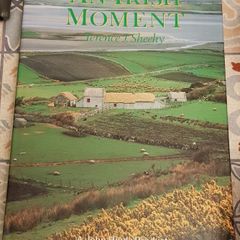 An Irish Moment by Terrence J. Sheehy