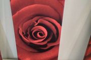 Three matching rose prints on canvas.