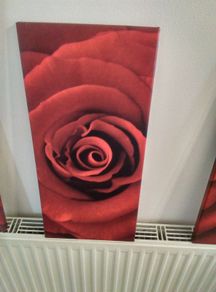 Three matching rose prints on canvas.