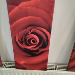 Three matching rose prints on canvas.
