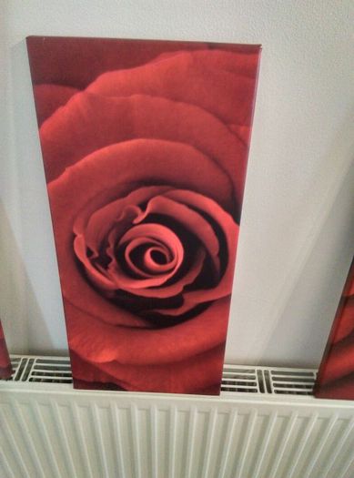 Three matching rose prints on canvas.