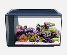 Fluval Evo reef tank plus extras