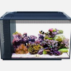 Fluval Evo reef tank plus extras