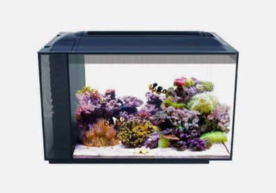 Fluval Evo reef tank plus extras