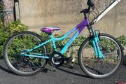 Girls 24 Inch Bicycle