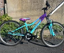 Girls 24 Inch Bicycle