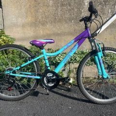 Girls 24 Inch Bicycle