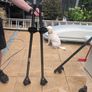Car roof rails Image 3