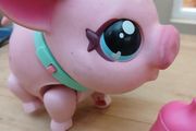 Walking Little live Pets pig
