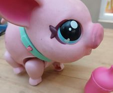 Walking Little live Pets pig
