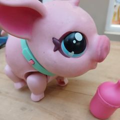 Walking Little live Pets pig