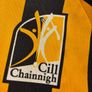 Vintage Kilkenny GAA jersey Image 3