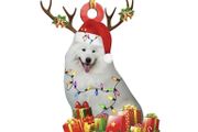 White Samoyed Dog Decoration