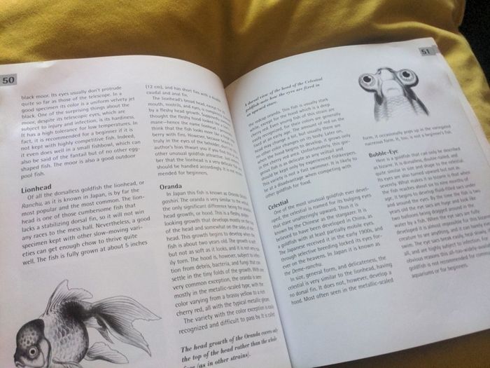Goldfish -A Complete Pet Owners Manual