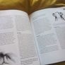 Goldfish -A Complete Pet Owners Manual Image 4