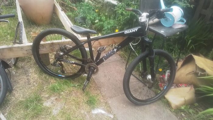 Giant dirt jumper brass