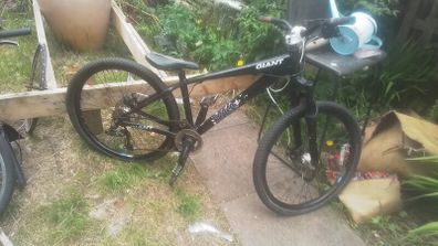 Giant dirt jumper brass