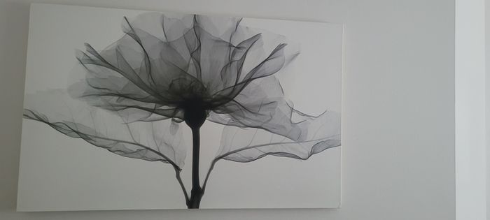 Canvas Picture