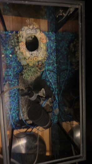 fish tank