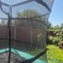 Trampoline Image 4