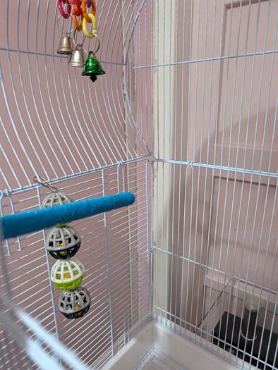 Bird Cage