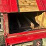 chicken Coop and run Image 2