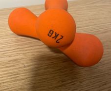 2kg weights