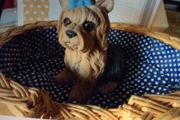 Yorkshire Terrier &amp; Basket