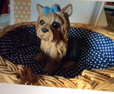 Yorkshire Terrier & Basket