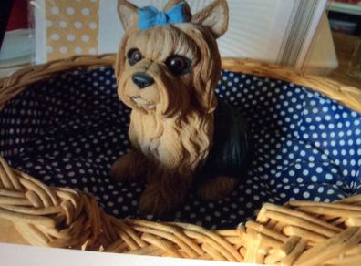 Yorkshire Terrier & Basket