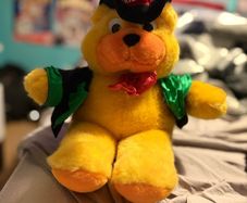 Perkie Bear Merch Looking For