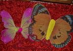 butterfly wings