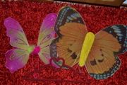 butterfly wings