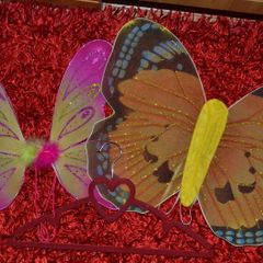 butterfly wings