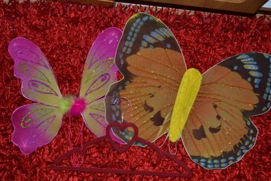 butterfly wings