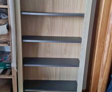bookcase bookshelf Shelves