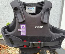 horse riding back protector