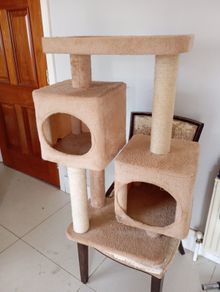 Cat tree
