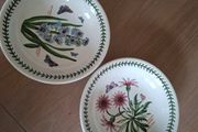 Two Large Soup Dishes -  Portmeirion - Botanic Garden Design