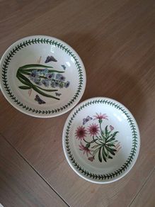 Two Large Soup Dishes -  Portmeirion - Botanic Garden Design