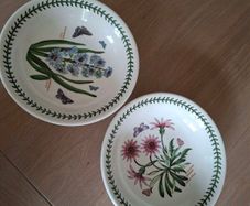 Two Large Soup Dishes -  Portmeirion - Botanic Garden Design
