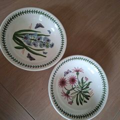 Two Large Soup Dishes -  Portmeirion - Botanic Garden Design