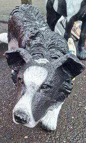 Big Christmas Price Drop for Religious Statues And Our Animal Selection From Now Until Christmas Collected From Dungarvan Co Waterford.