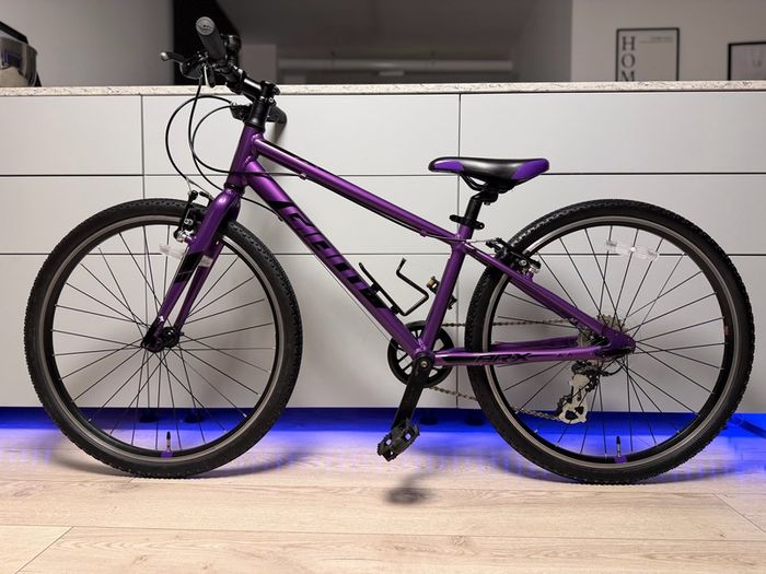 Giant ARX Junior Bike 24 inch (Like NEW)